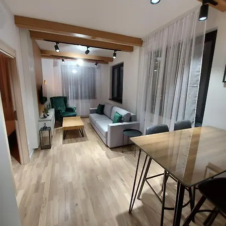 Apartment Djordje-vila Montana