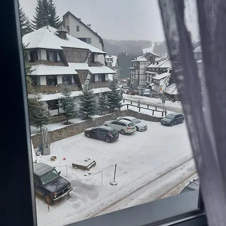 Apartment Djordje-vila Montana Kopaonik